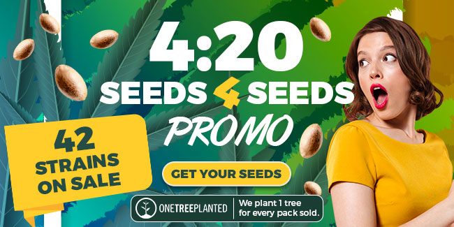 4:20 seeds 4 seeds promo - 42 strains on sale - offer valid until April 30th - GET YOUR SEEDS